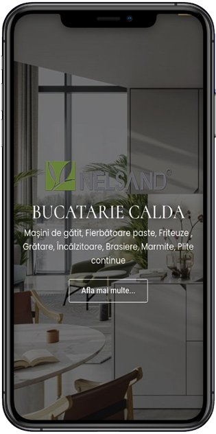 Web design responsive optimizare site pentru mobil